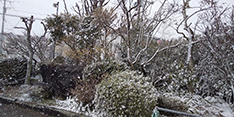 入り口の雪風景