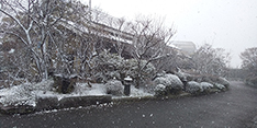 入り口の雪風景